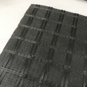 Geogriglia in fibra di vetro con tessuto non tessuto