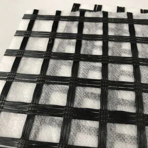 Geogrid PET con non tessuto